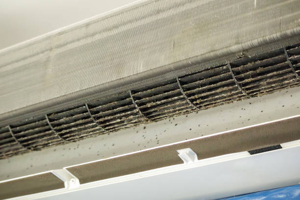 Best Ventilation Cleaning Services  in Shenandoah, TX